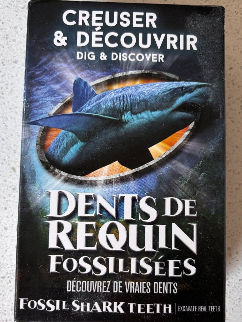 NWT Dig and Discover - Fossil Shark Teeth